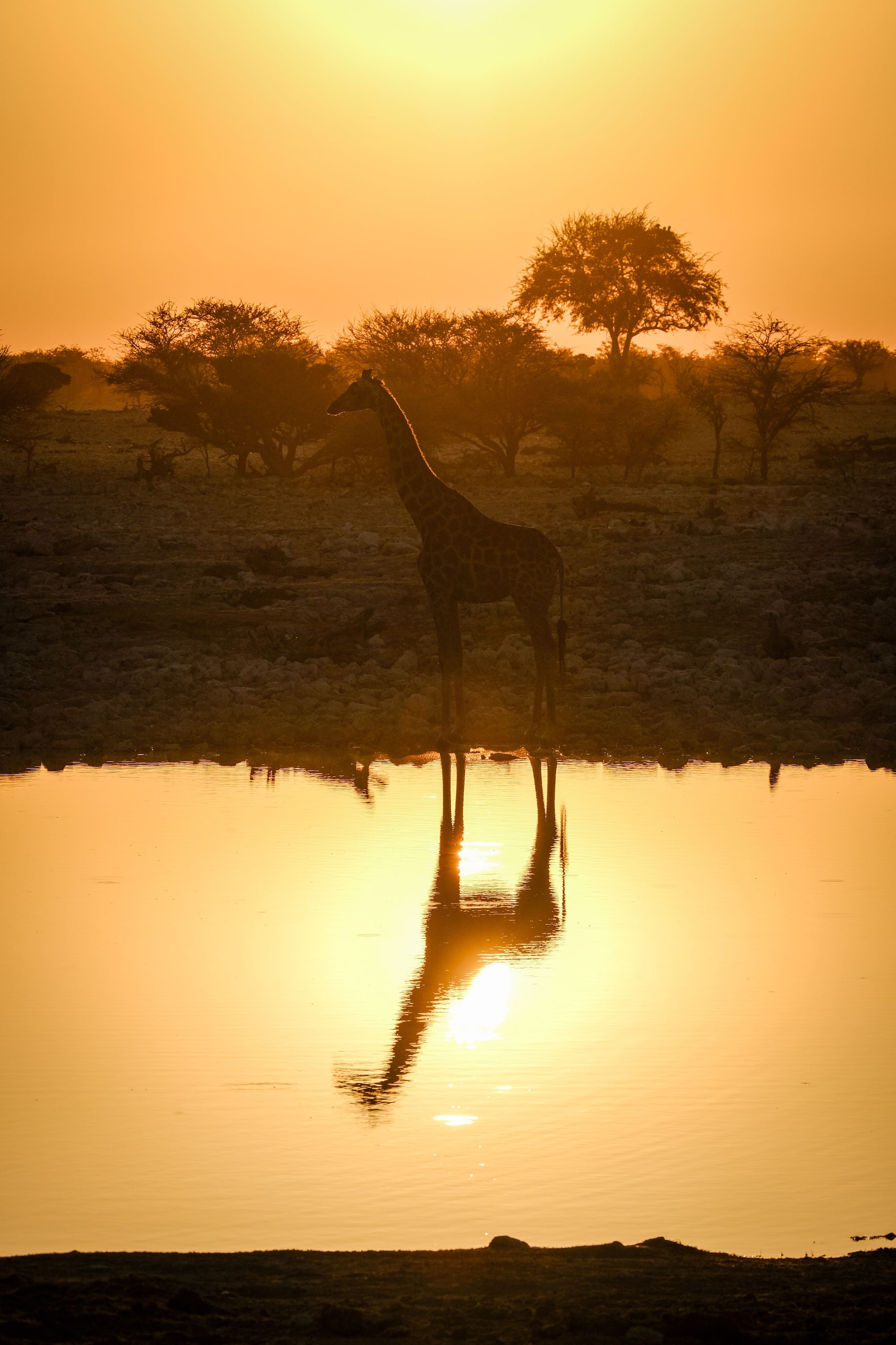 A waterhole at last light.