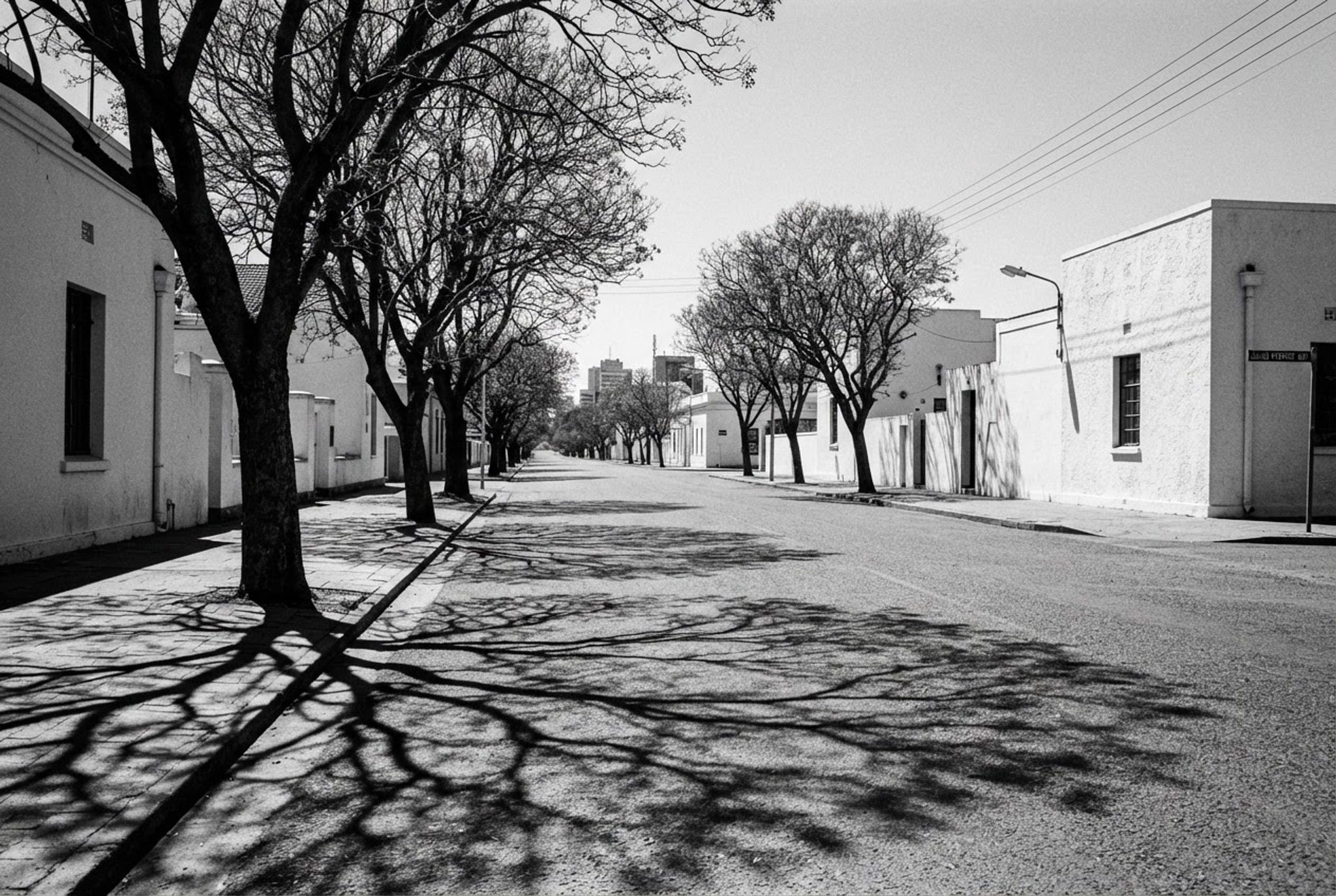 A quiet dorp street in the Cape interior.