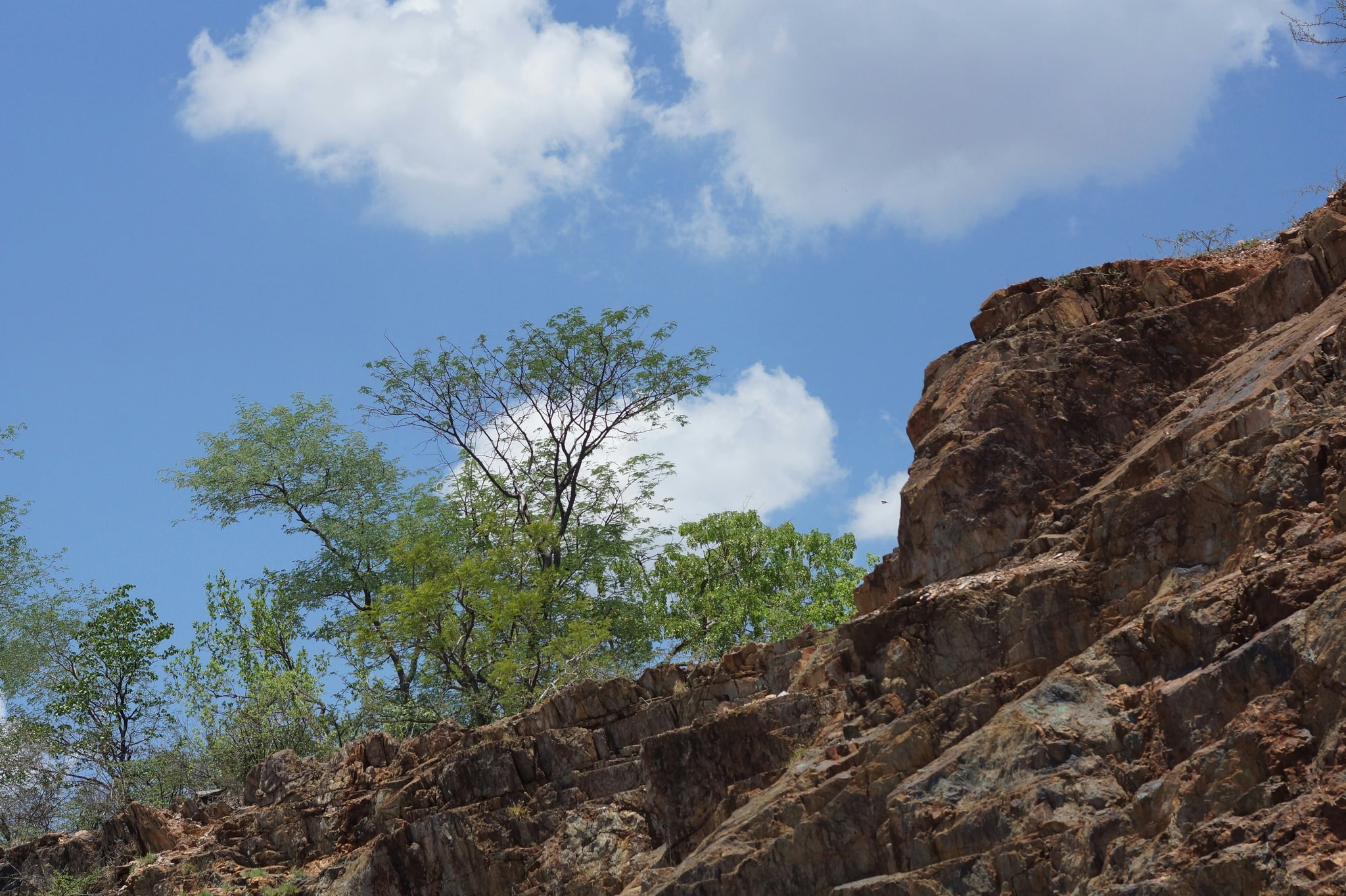Arid country in the north-west.